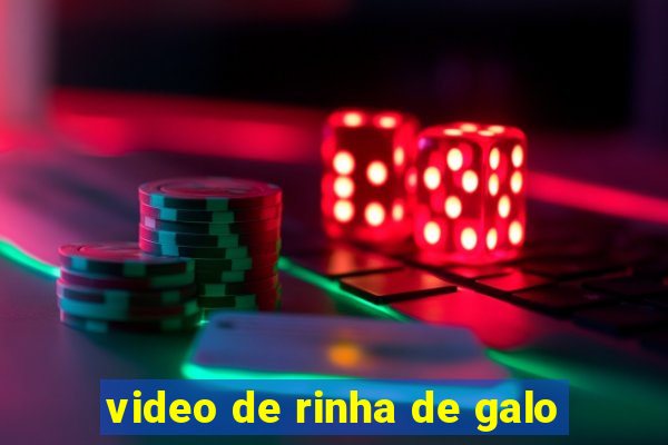 video de rinha de galo